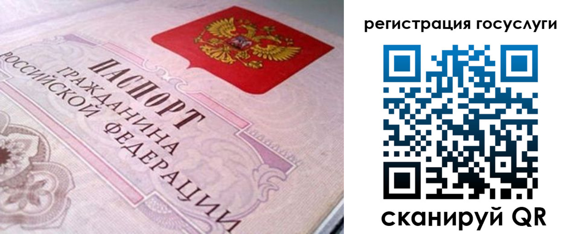 где прописаться в Сельцо